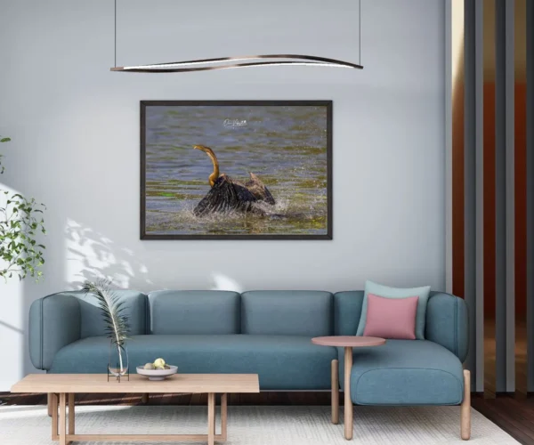 Oriental Darter - Image 2